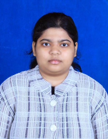 Dixy Info Systems Pvt Ltd